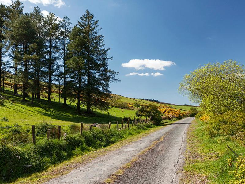 Вилла Curradoon House Ballynamult Экстерьер фото