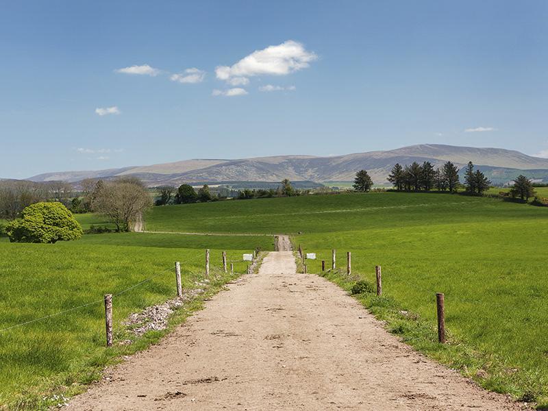 Вилла Curradoon House Ballynamult Экстерьер фото